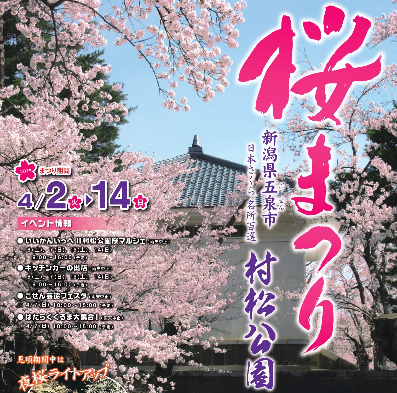 2024村松公園桜まつり開催のお知らせ