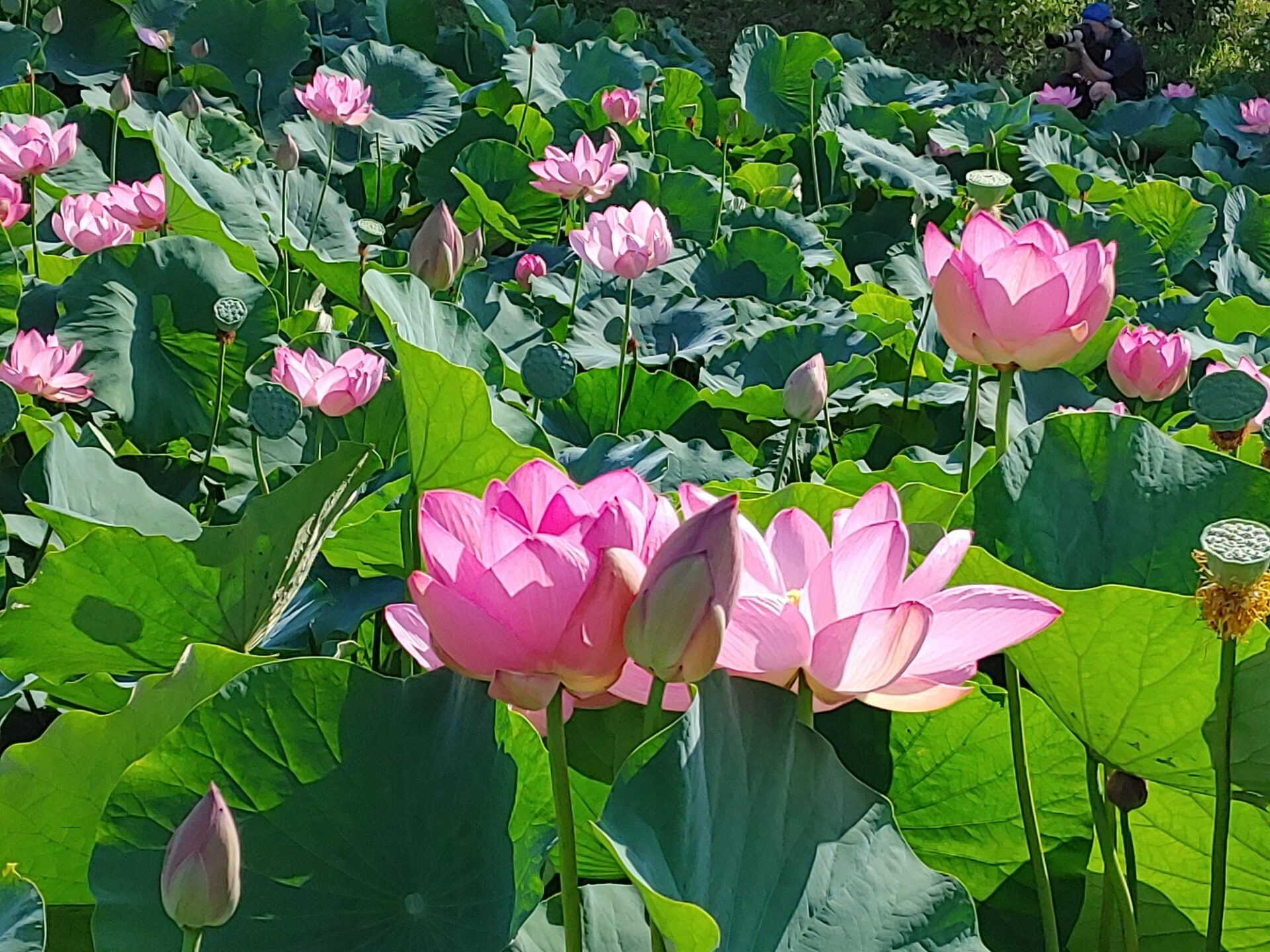 東公園4