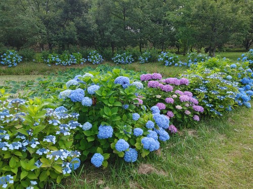 東公園6