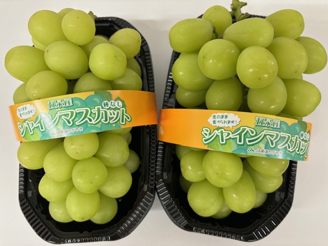 JA新潟かがやき村松振興協議会2