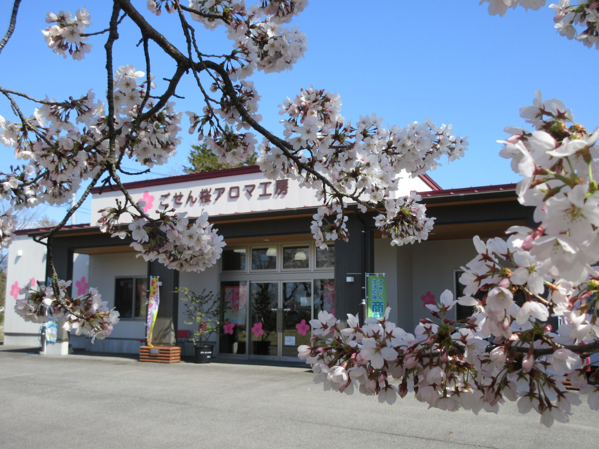 ごせん桜アロマ工房