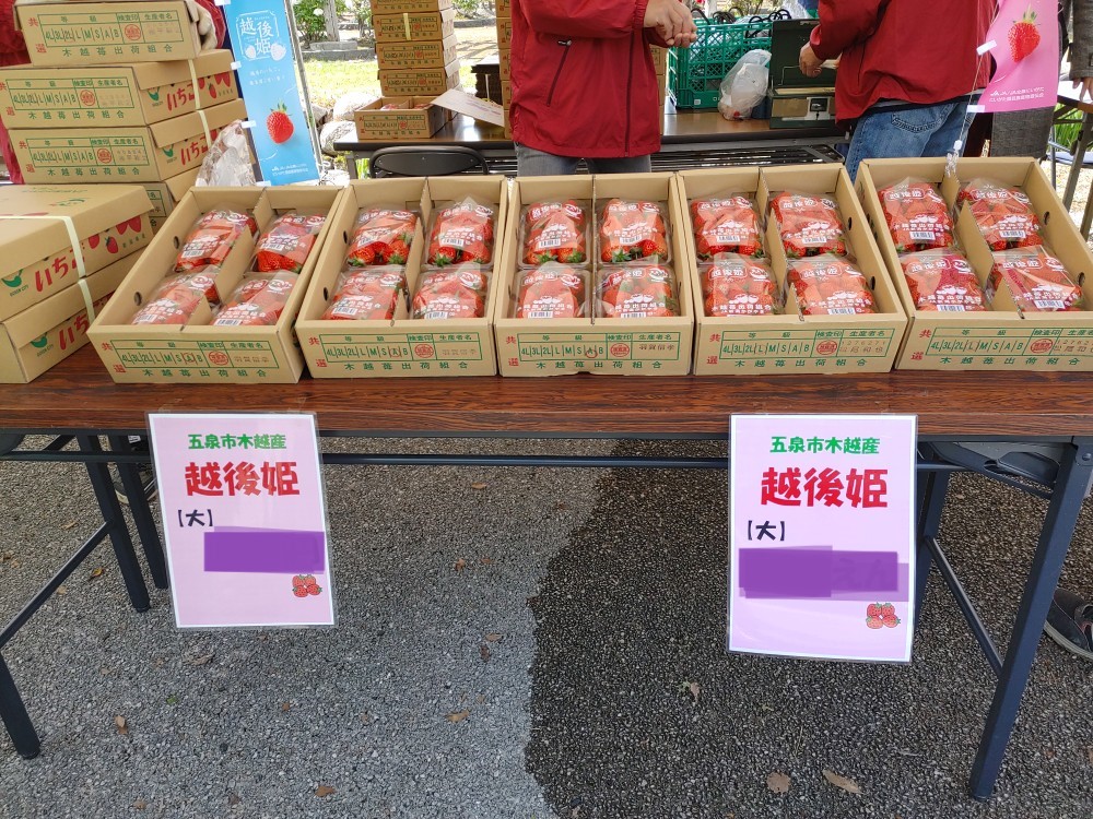 【花木まつり】5月１日（木）～５月３１日（土）開催217