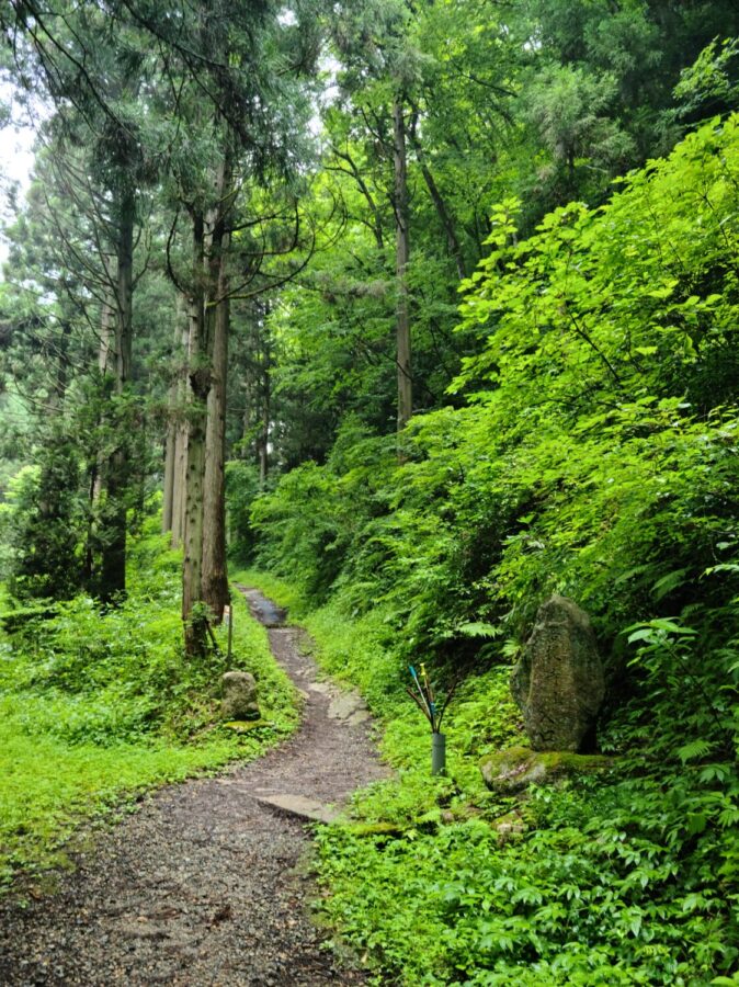 菩提寺山で低山ハイク♪