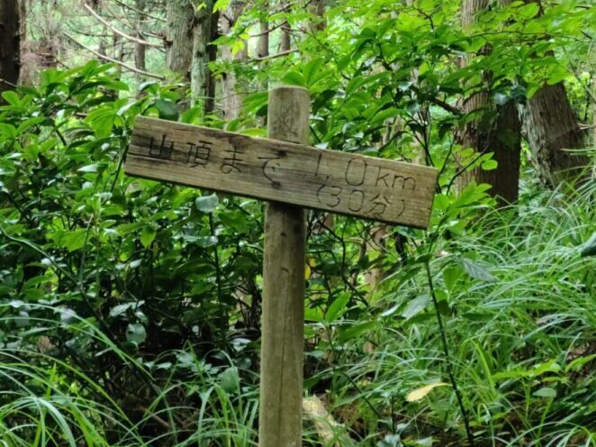 菩提寺山で低山ハイク♪