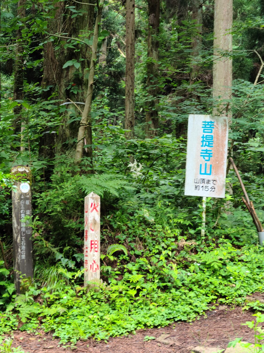 菩提寺山で低山ハイク♪