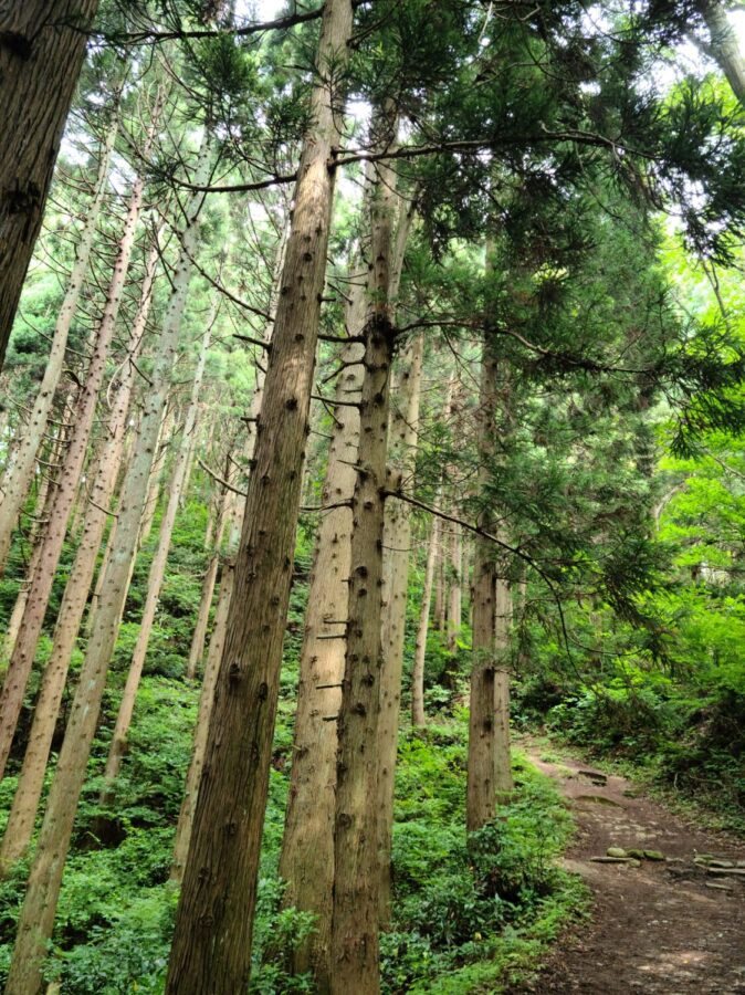 菩提寺山で低山ハイク♪