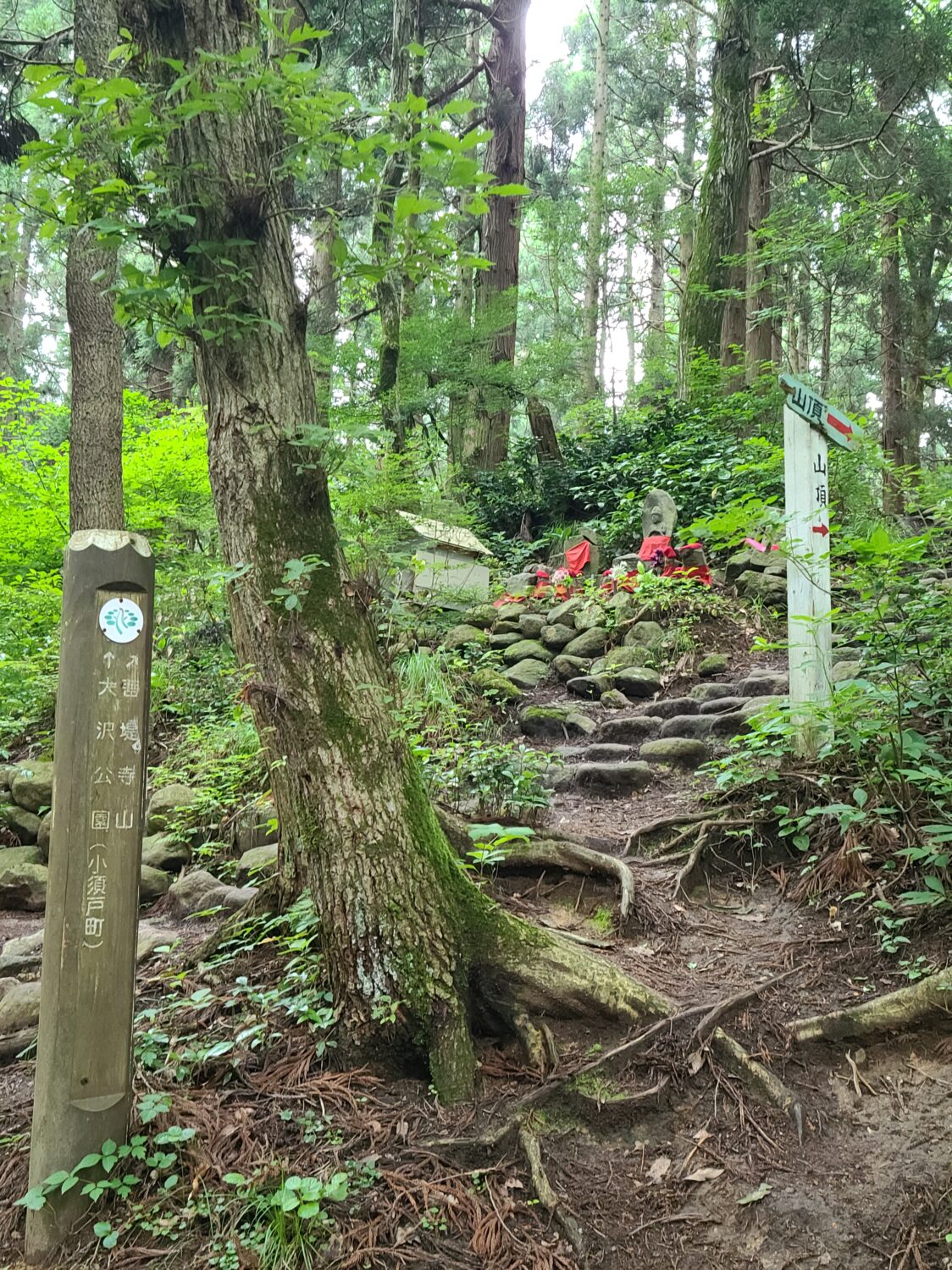 菩提寺山で低山ハイク♪