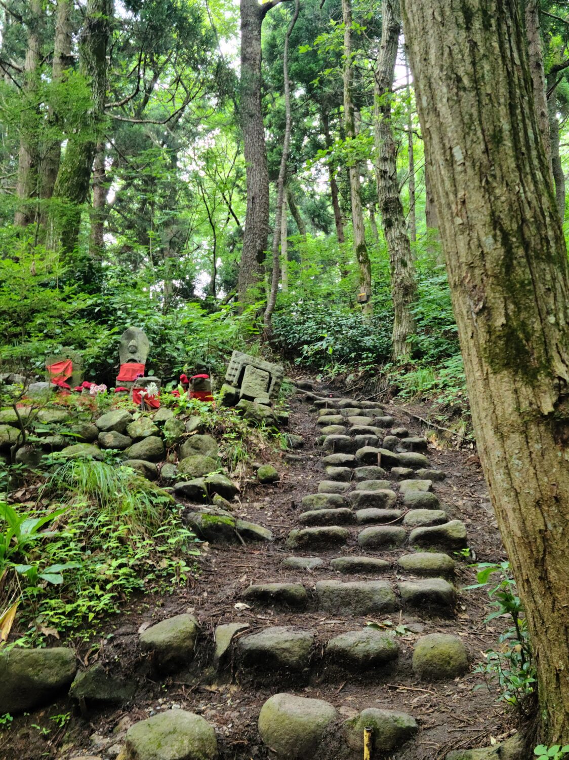 菩提寺山で低山ハイク♪