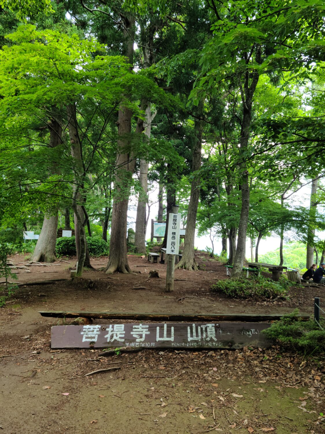 菩提寺山で低山ハイク♪