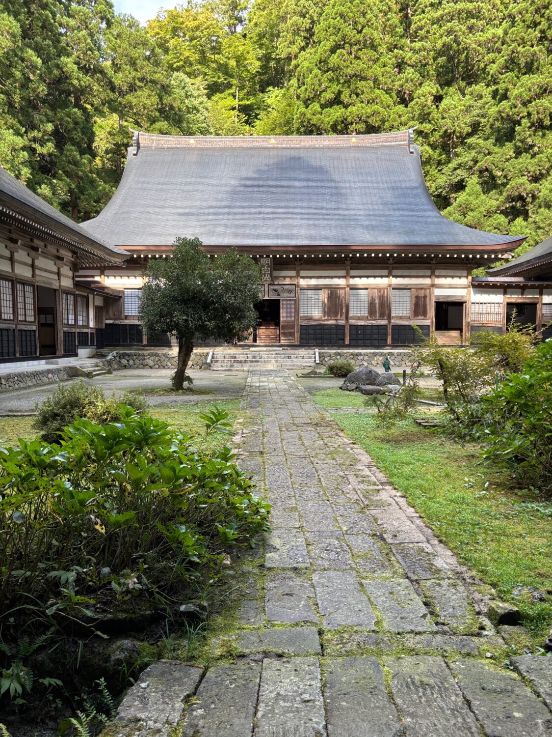 「式三番城町屋台」の公開に行ってきました!!