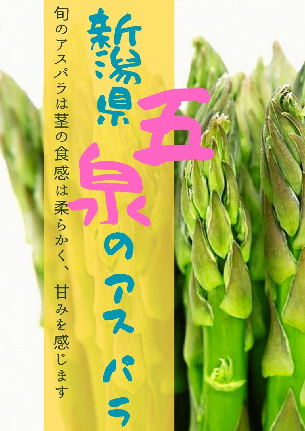 【高輪ゲートウェイ駅】出張販売!!5/24(土)~5/25(日)