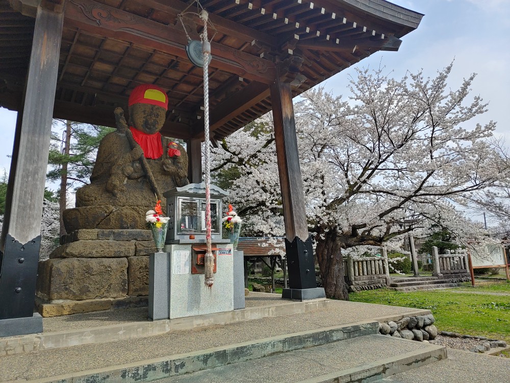 【五泉市観光ガイド協会】ガイドと歩く 『大河の流れと粟島公園を巡る旅!』