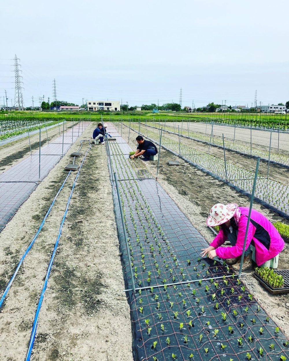 ファームみなみの郷募集内容73
