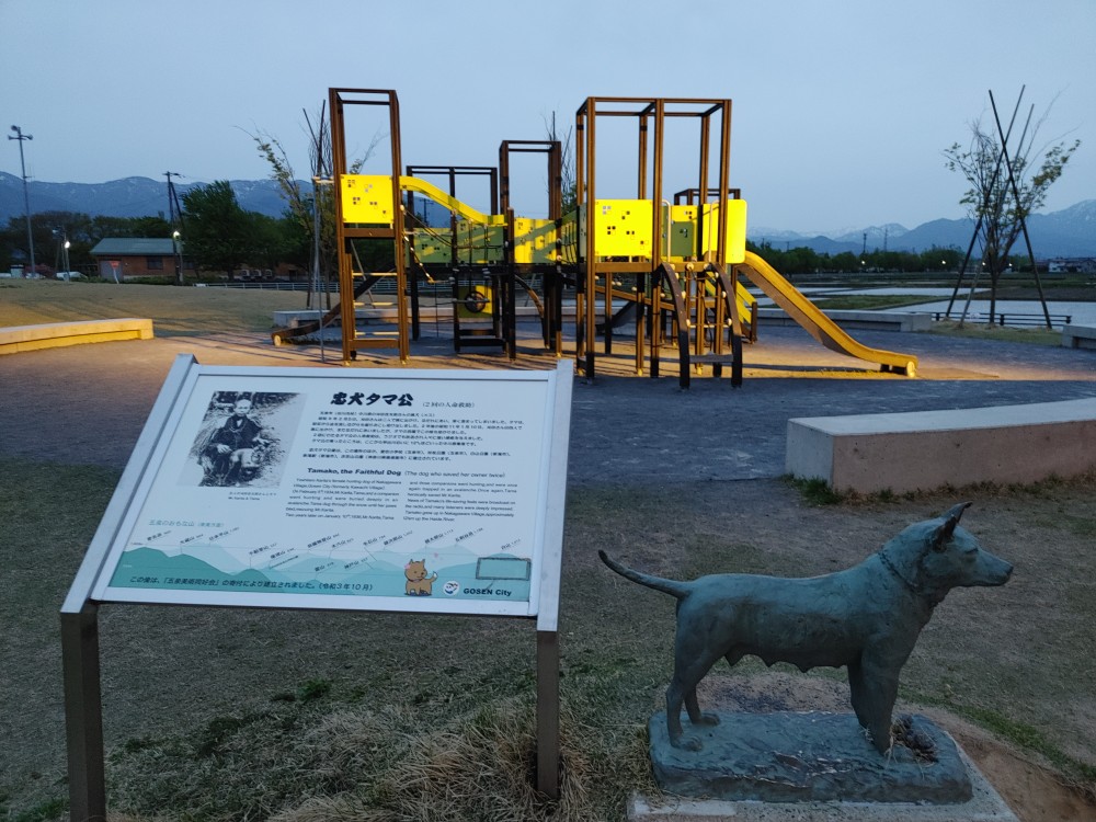 【五泉市】よくある質問と回答～ご参考にご覧ください～235