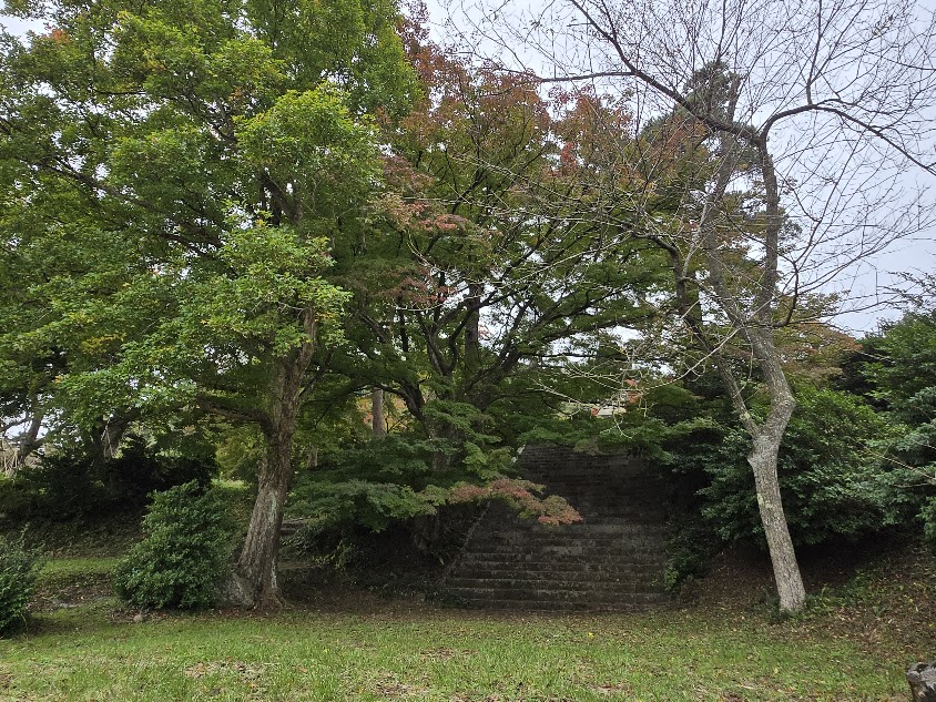 【イチョウやモミジが美しく輝く五泉の秋】紅葉情報はこちらから☆156