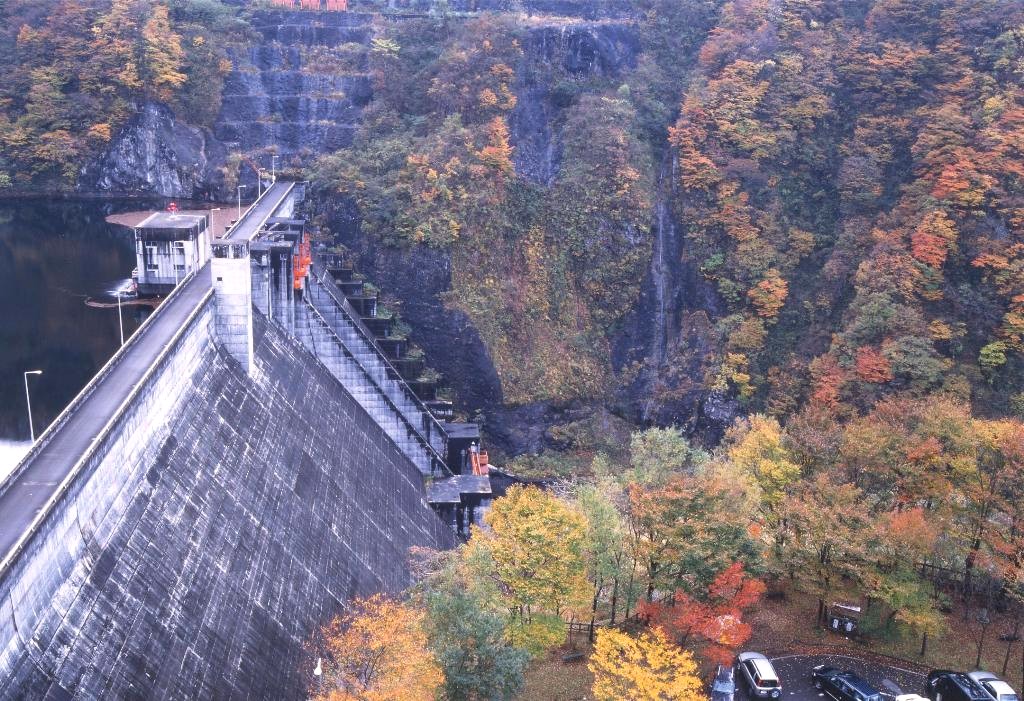 【イチョウやモミジが美しく輝く五泉の秋】紅葉情報はこちらから☆