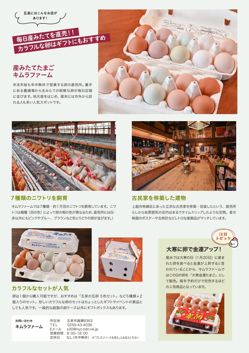 「GO!GO!ごせんNEWS」(12月・1月号)発行♪