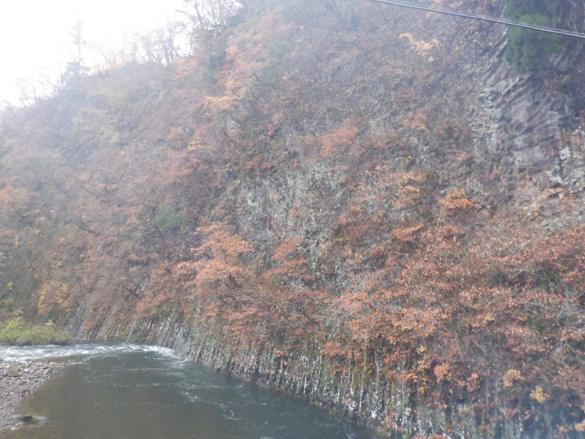 【イチョウやモミジが美しく輝く五泉の秋】紅葉情報はこちらから☆271
