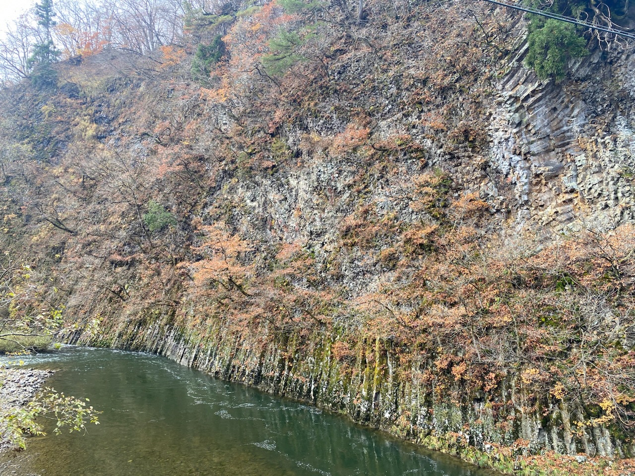 【イチョウやモミジが美しく輝く五泉の秋】紅葉情報はこちらから☆291