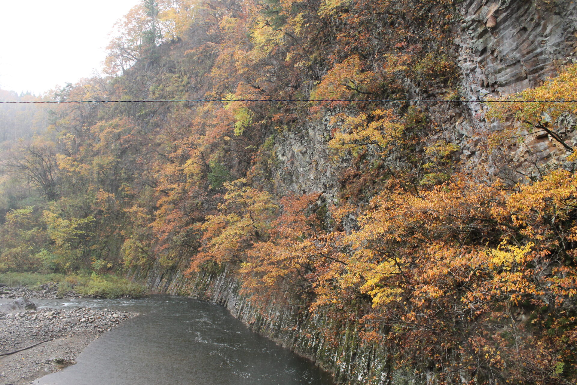 【イチョウやモミジが美しく輝く五泉の秋】紅葉情報はこちらから☆