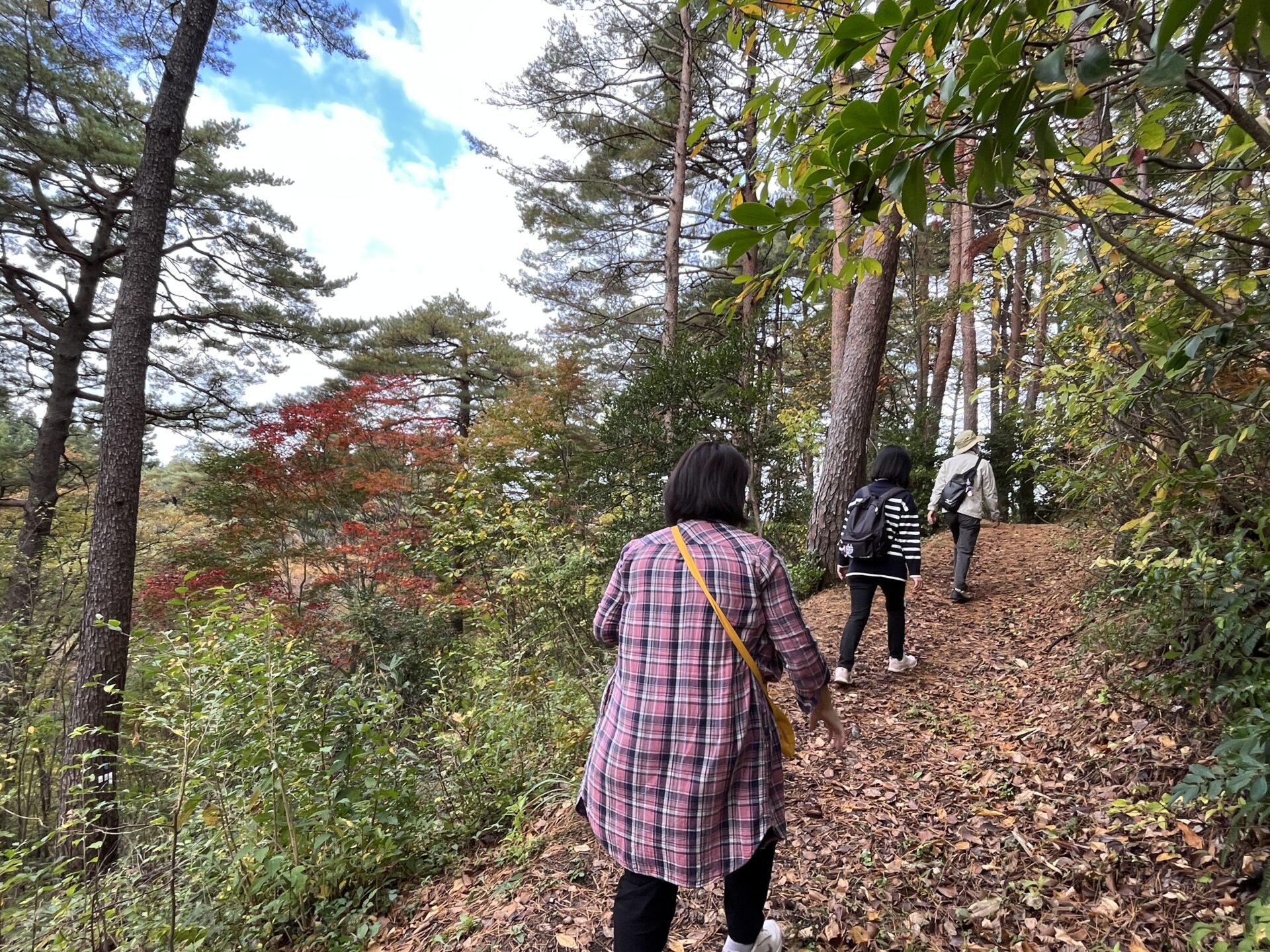 ※中止※【五泉市観光ガイド協会】村松公園愛宕山秋の自然散策64