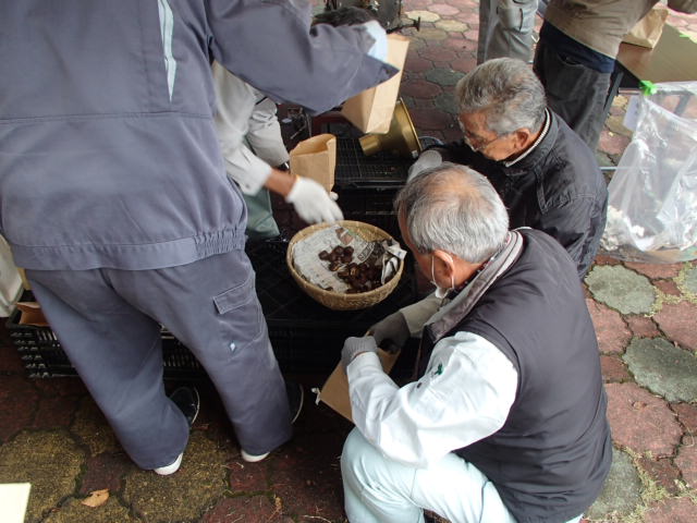 村松栗まつり6
