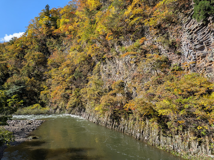 【イチョウやモミジが美しく輝く五泉の秋】紅葉情報はこちらから☆173