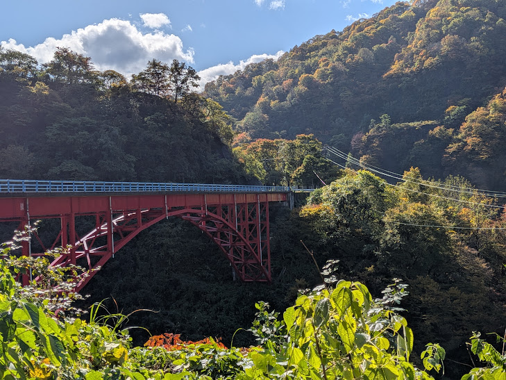 【イチョウやモミジが美しく輝く五泉の秋】紅葉情報はこちらから☆170