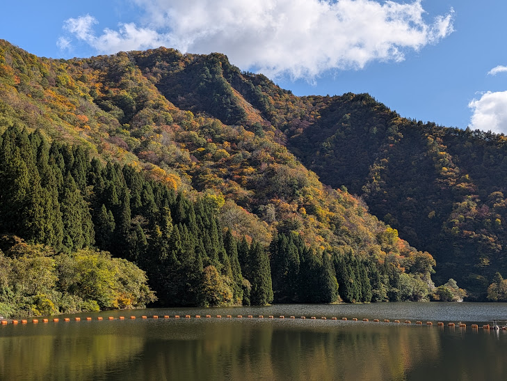【イチョウやモミジが美しく輝く五泉の秋】紅葉情報はこちらから☆171
