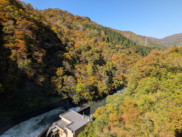 【イチョウやモミジが美しく輝く五泉の秋】紅葉情報はこちらから☆172