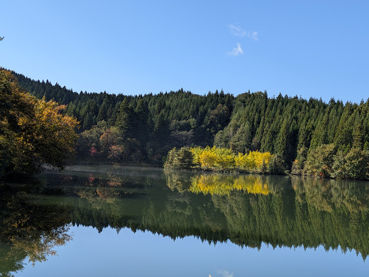 【イチョウやモミジが美しく輝く五泉の秋】紅葉情報はこちらから☆1710