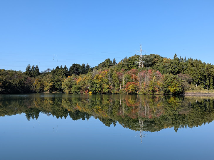 【イチョウやモミジが美しく輝く五泉の秋】紅葉情報はこちらから☆1711