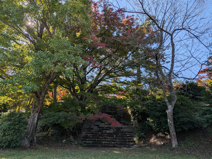 【イチョウやモミジが美しく輝く五泉の秋】紅葉情報はこちらから☆175