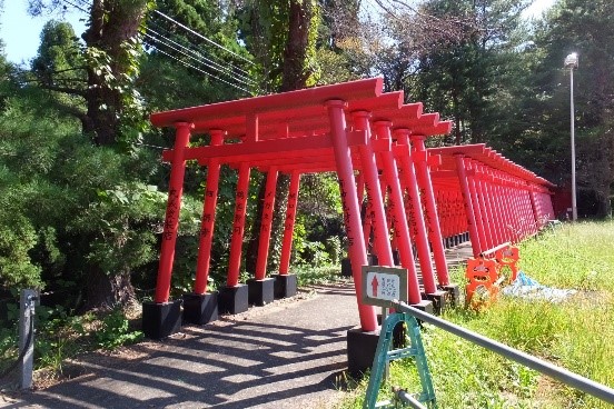 ※中止※【五泉市観光ガイド協会】村松公園愛宕山秋の自然散策67