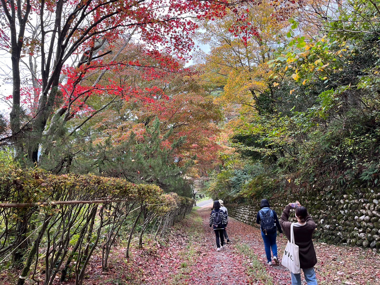 ※中止※【五泉市観光ガイド協会】村松公園愛宕山秋の自然散策60