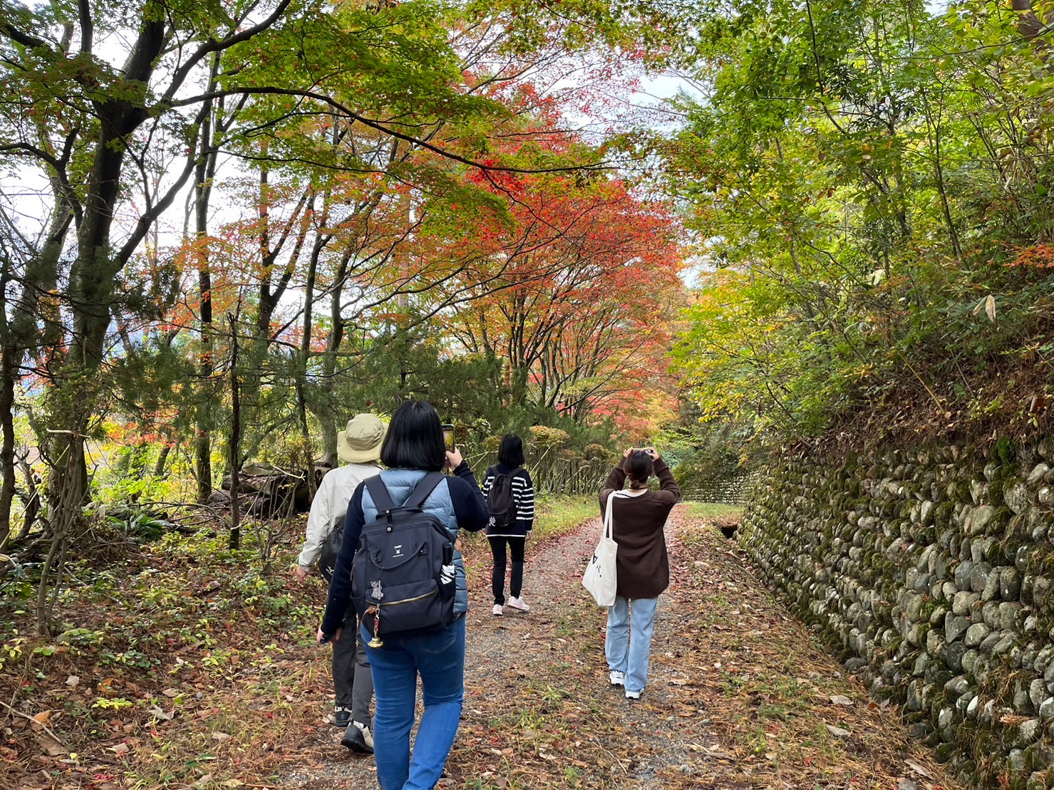 ※中止※【五泉市観光ガイド協会】村松公園愛宕山秋の自然散策61