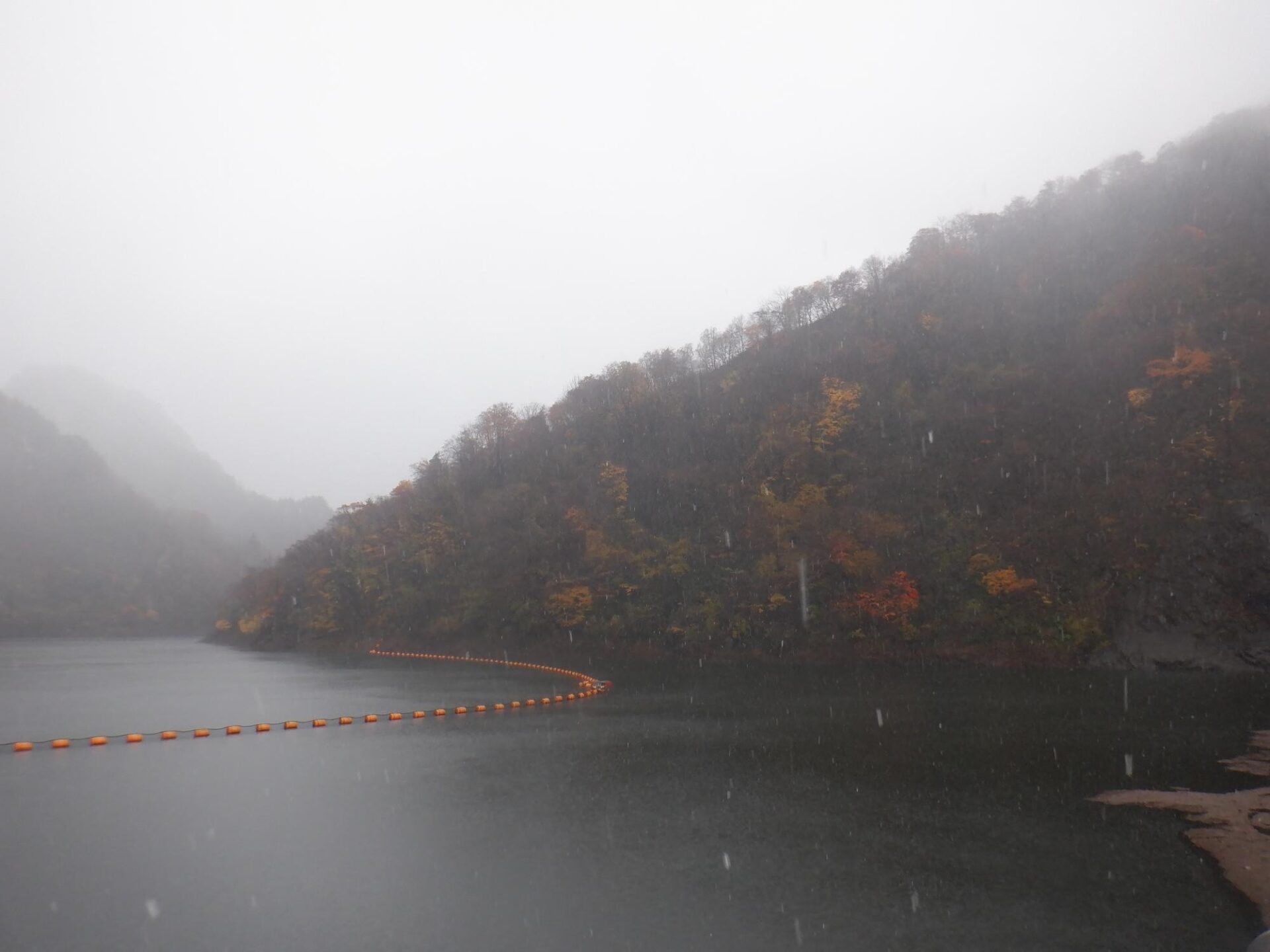 【イチョウやモミジが美しく輝く五泉の秋】紅葉情報はこちらから☆250