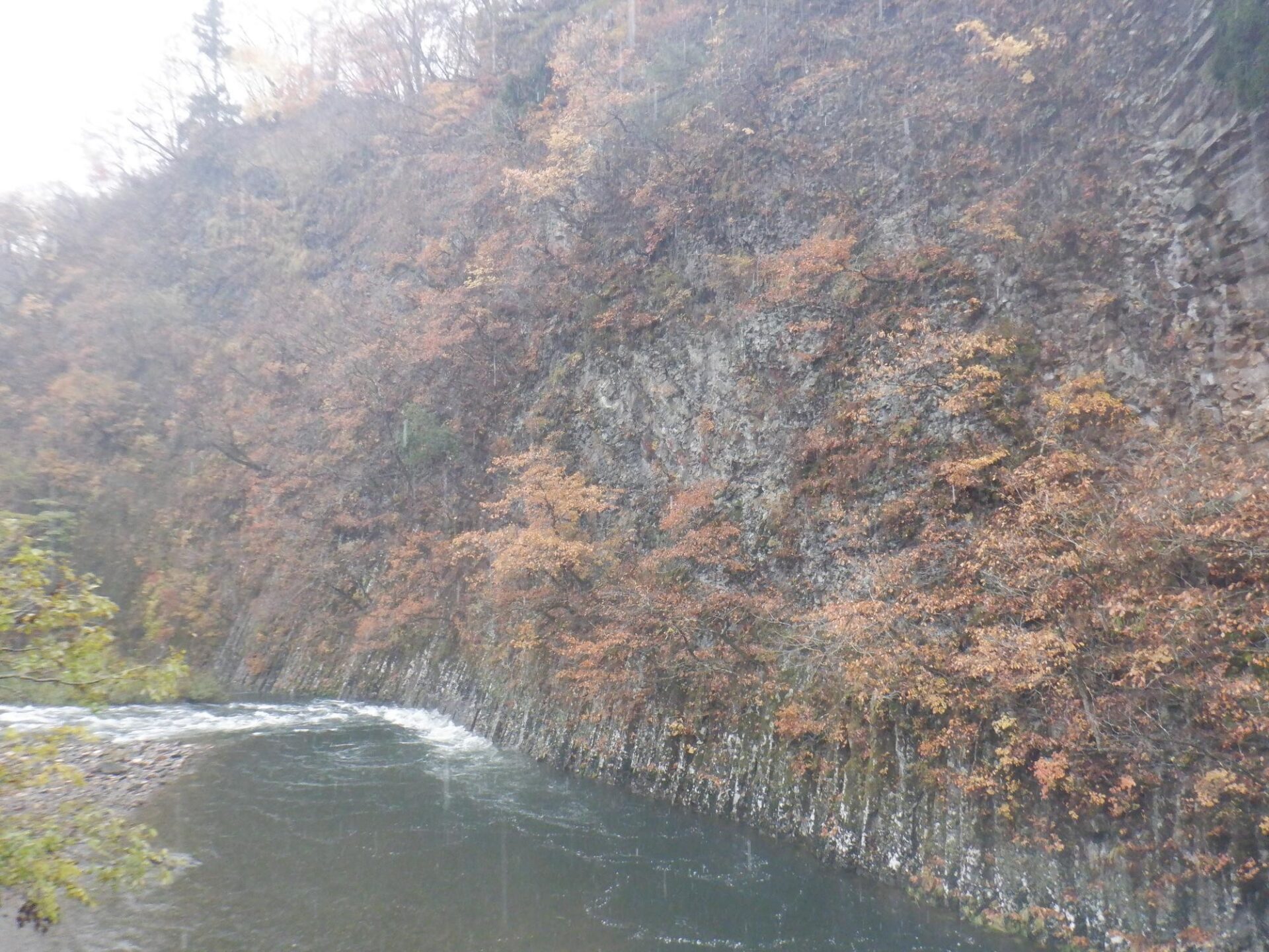 【イチョウやモミジが美しく輝く五泉の秋】紅葉情報はこちらから☆251