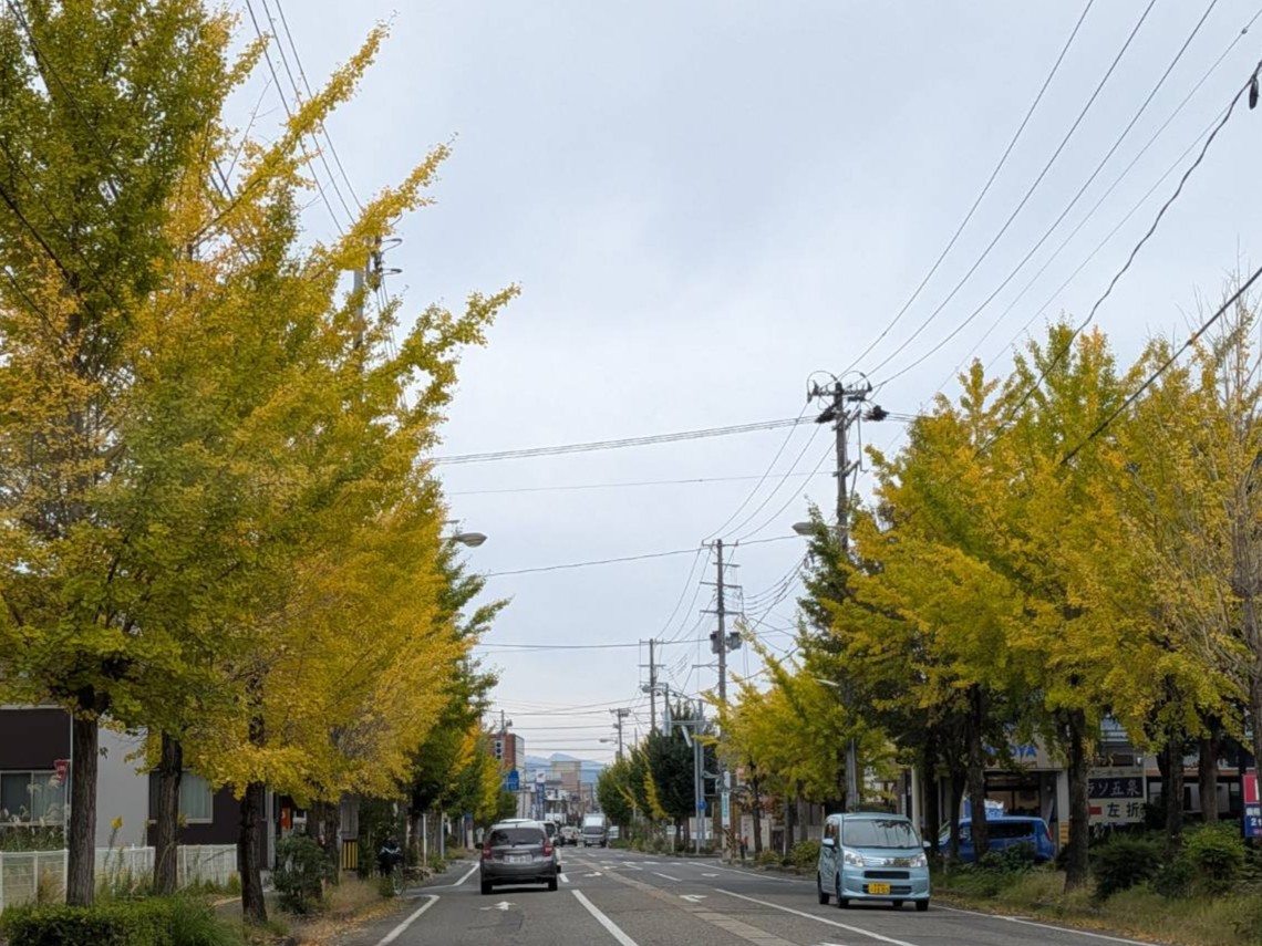 【イチョウやモミジが美しく輝く五泉の秋】紅葉情報はこちらから☆1511