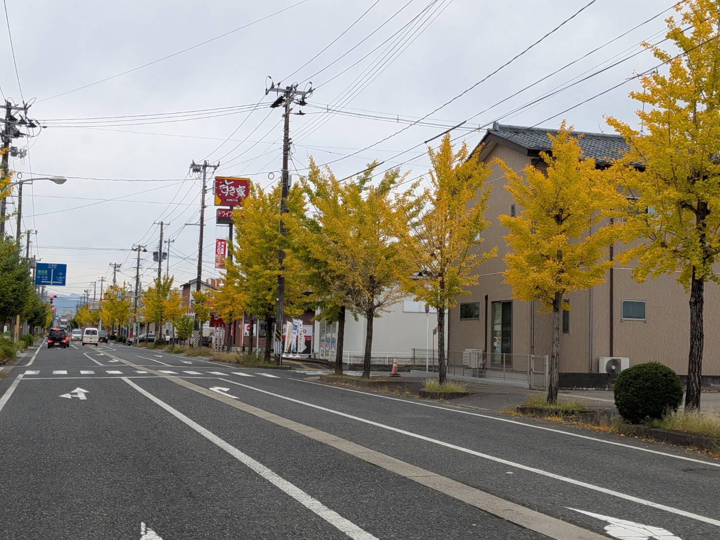 【イチョウやモミジが美しく輝く五泉の秋】紅葉情報はこちらから☆1512