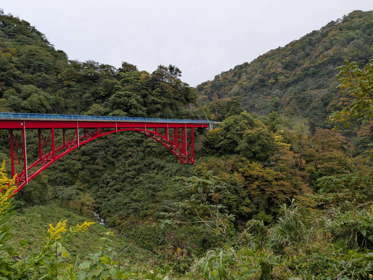 【イチョウやモミジが美しく輝く五泉の秋】紅葉情報はこちらから☆150