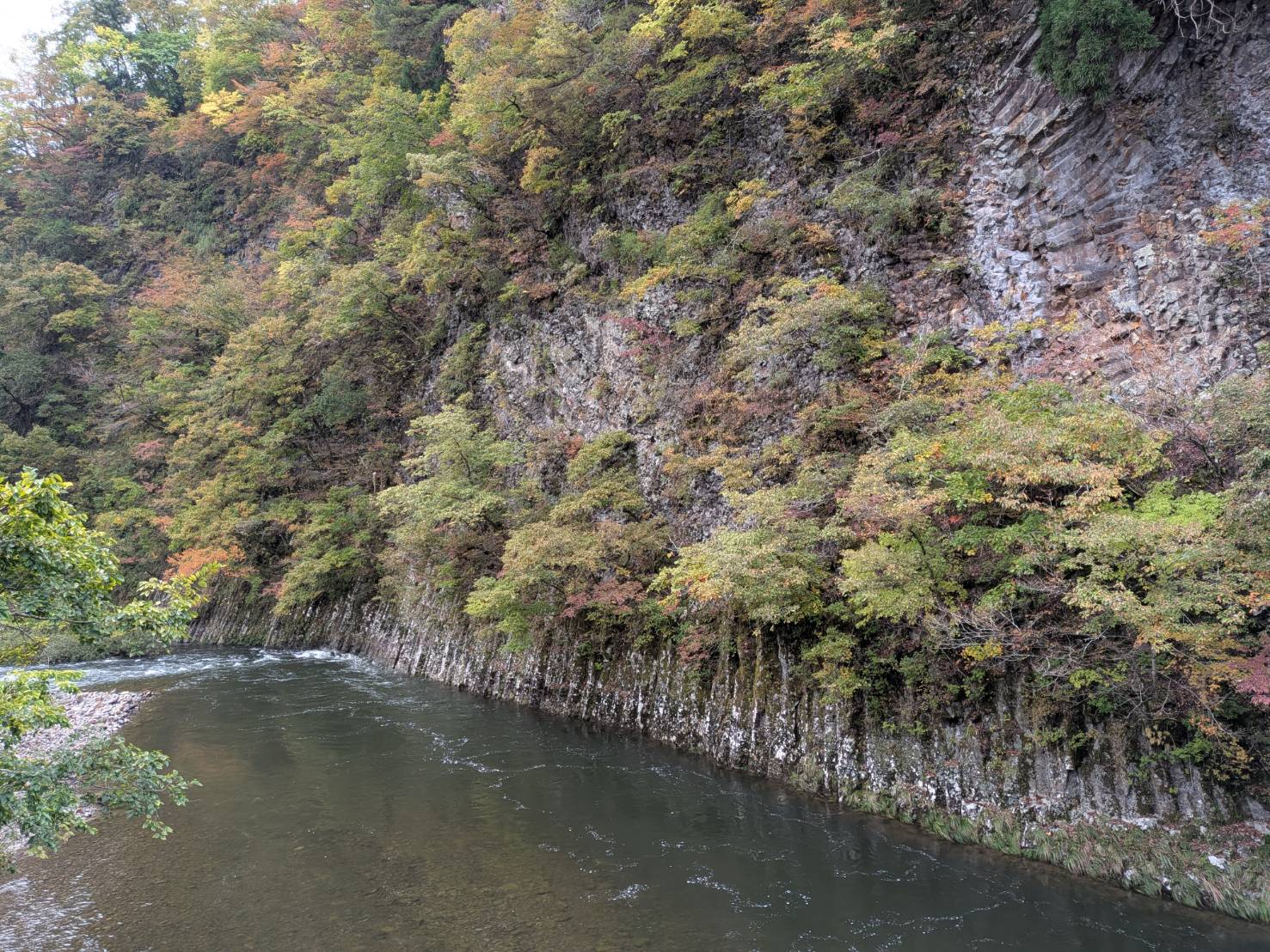 【イチョウやモミジが美しく輝く五泉の秋】紅葉情報はこちらから☆153