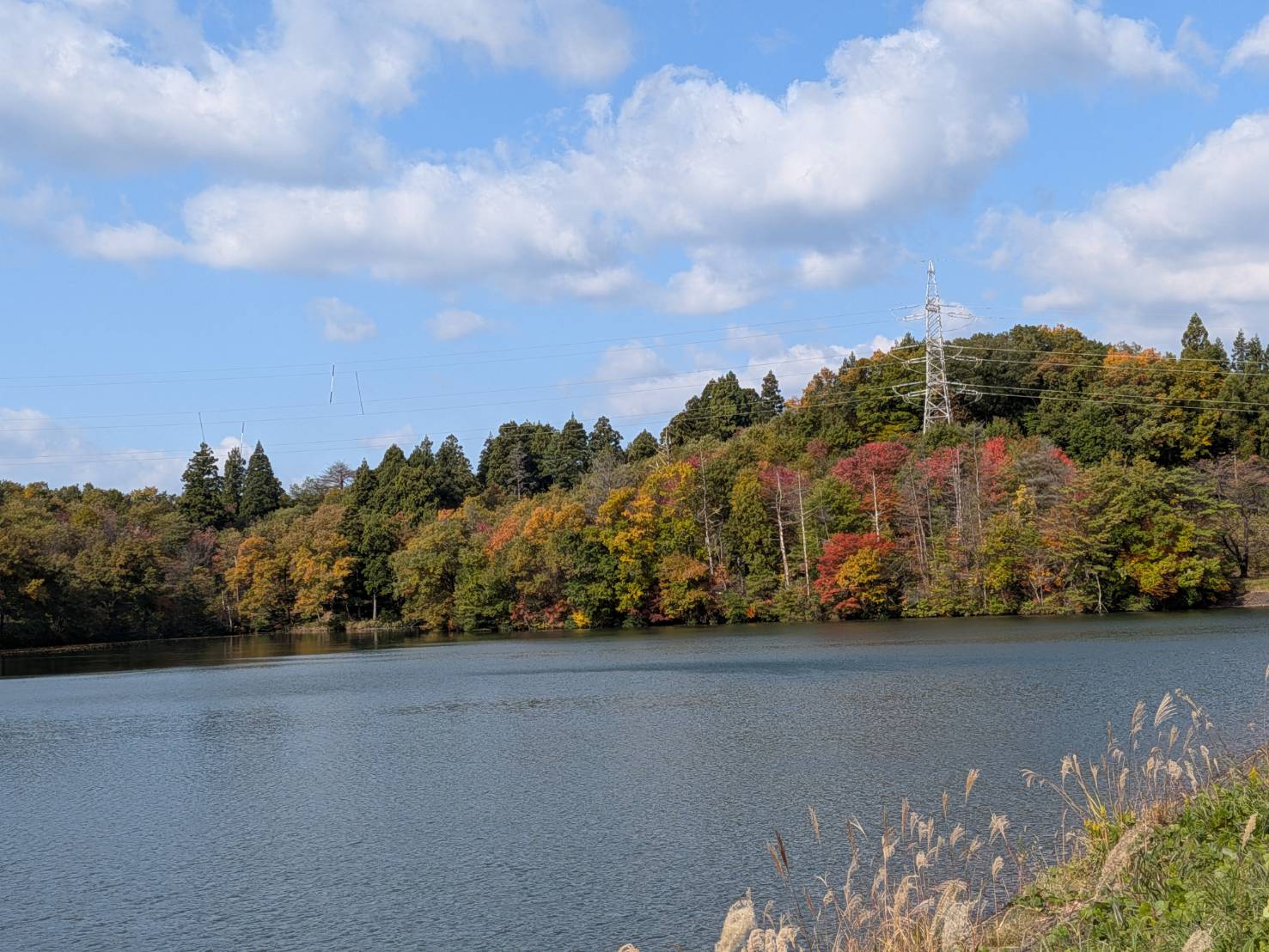 【イチョウやモミジが美しく輝く五泉の秋】紅葉情報はこちらから☆1911