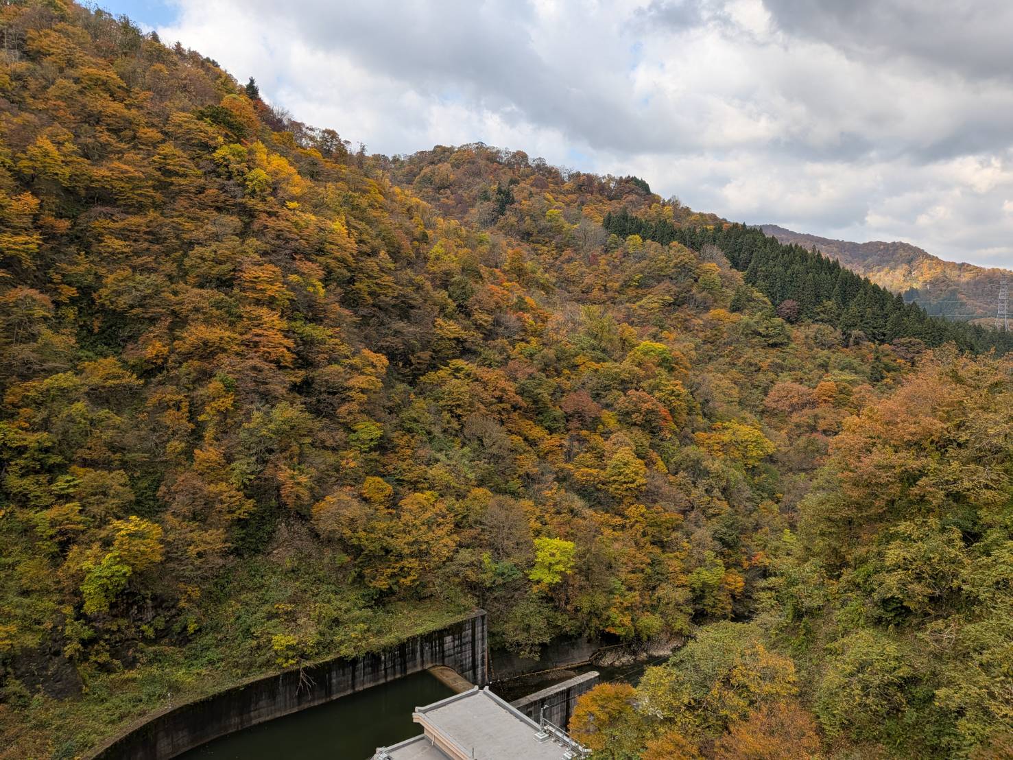 【イチョウやモミジが美しく輝く五泉の秋】紅葉情報はこちらから☆192
