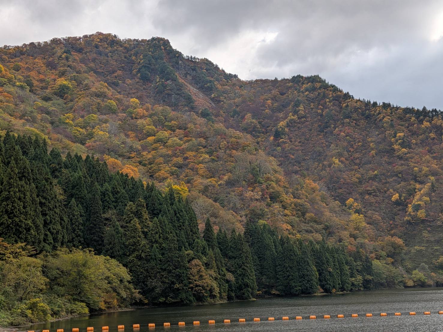 【イチョウやモミジが美しく輝く五泉の秋】紅葉情報はこちらから☆191