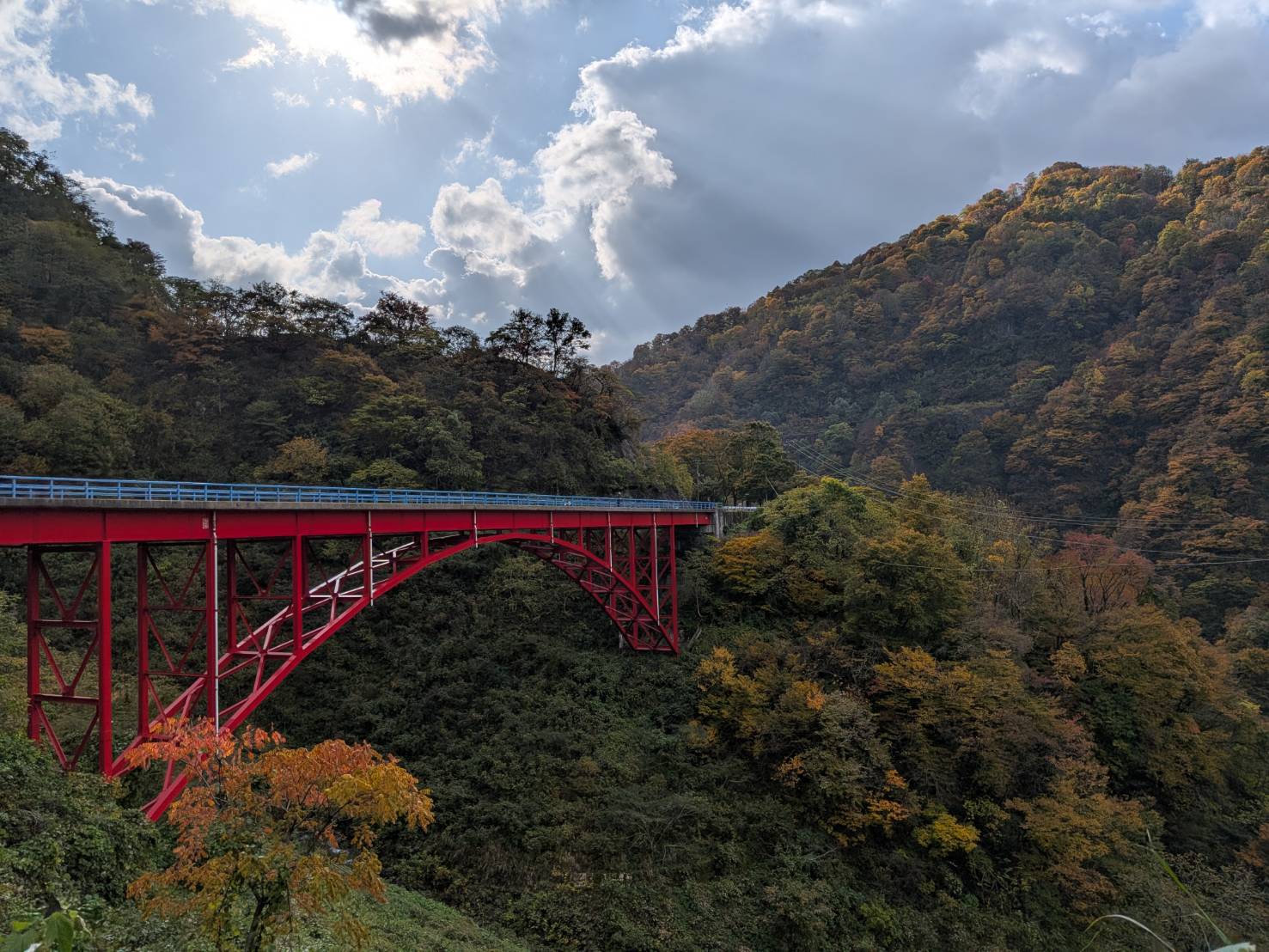 【イチョウやモミジが美しく輝く五泉の秋】紅葉情報はこちらから☆190