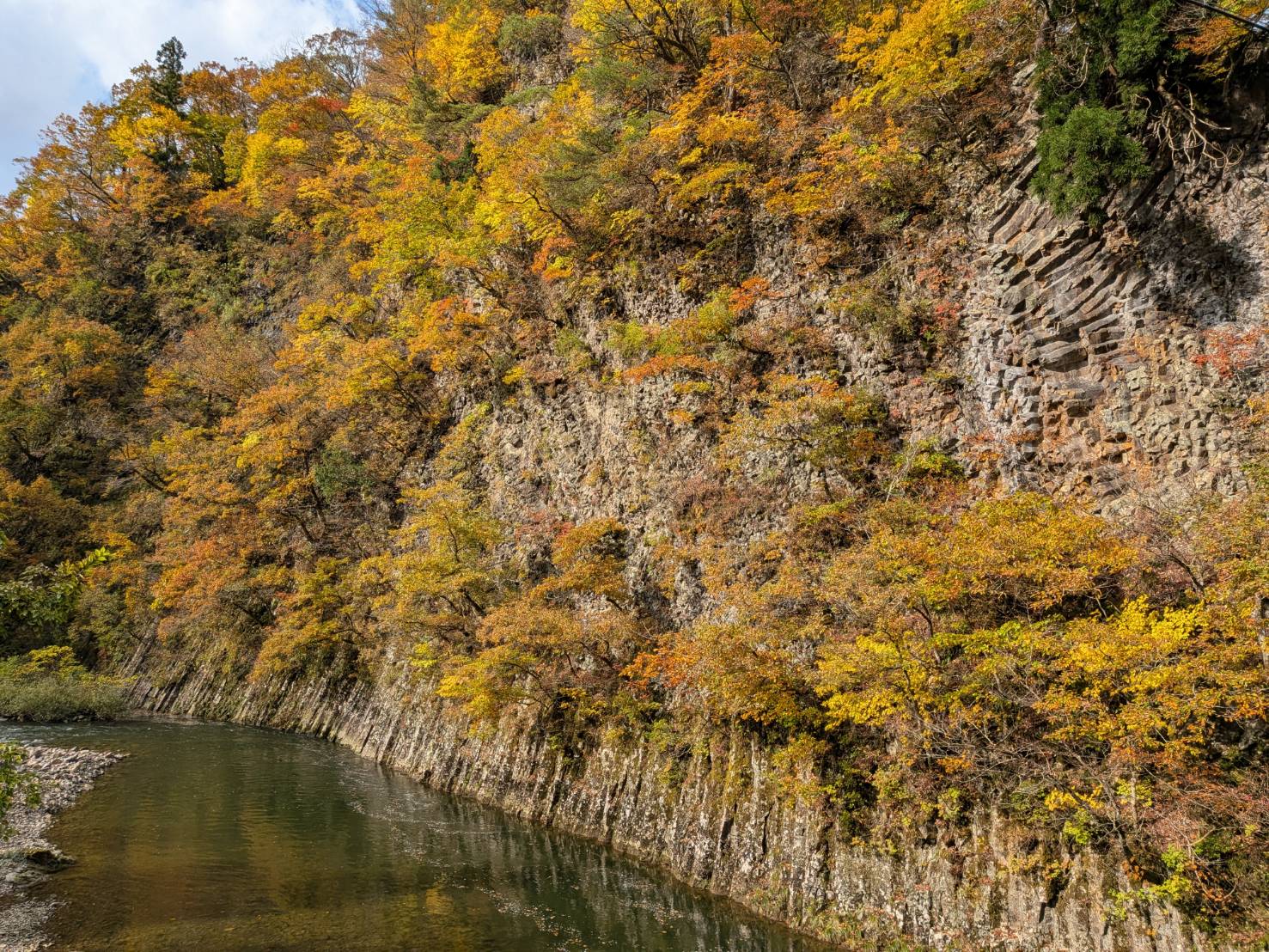 【イチョウやモミジが美しく輝く五泉の秋】紅葉情報はこちらから☆193