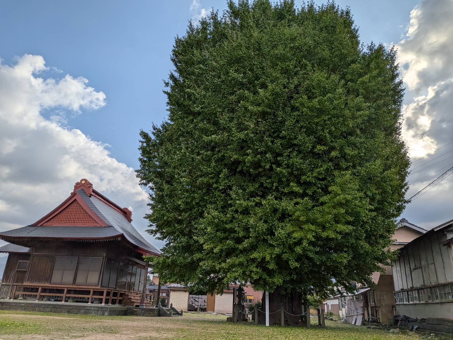【イチョウやモミジが美しく輝く五泉の秋】紅葉情報はこちらから☆198