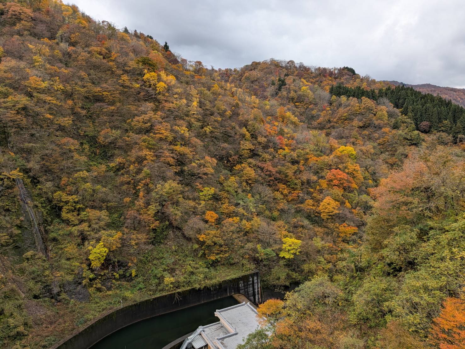 【イチョウやモミジが美しく輝く五泉の秋】紅葉情報はこちらから☆212