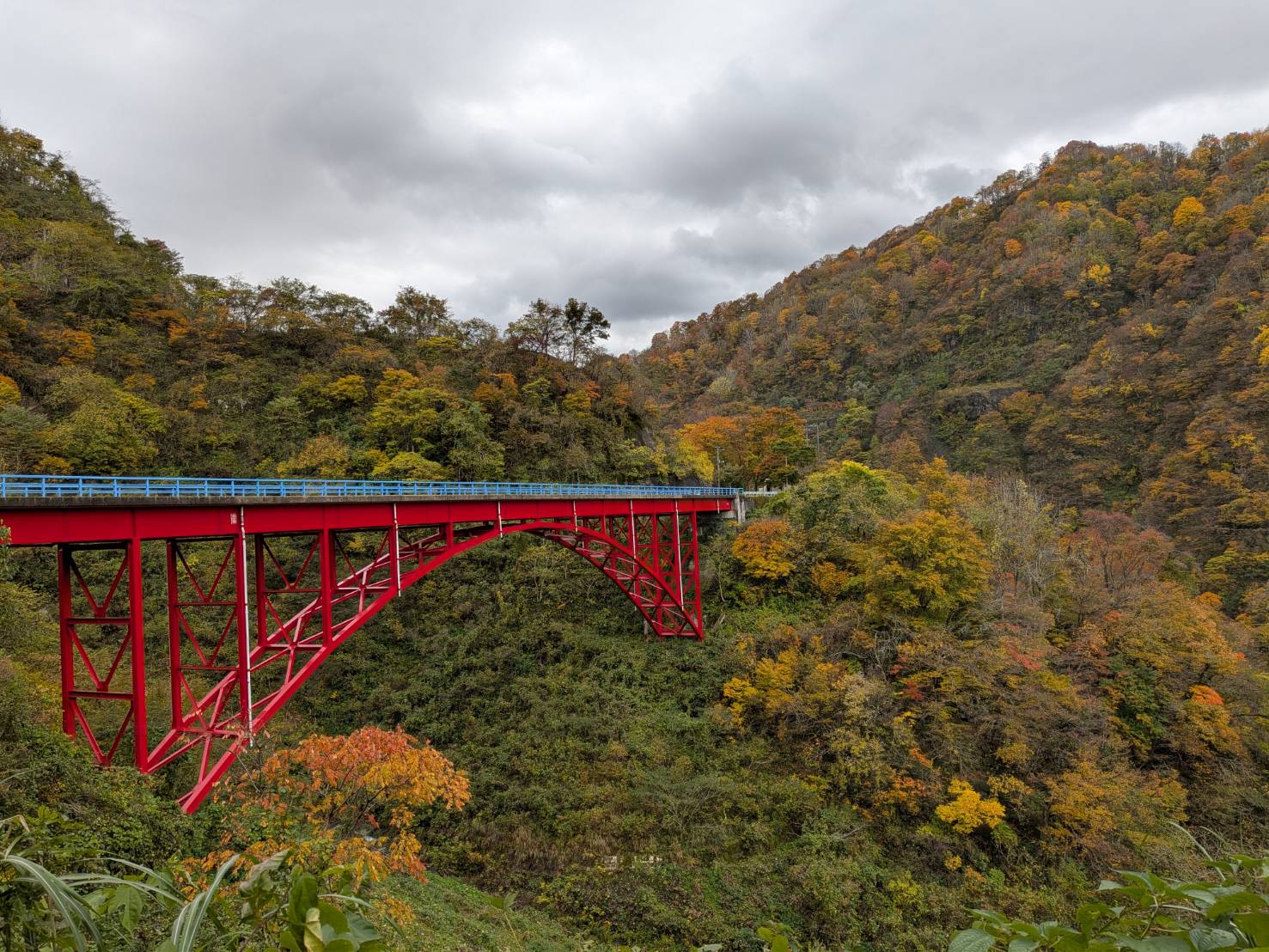 【イチョウやモミジが美しく輝く五泉の秋】紅葉情報はこちらから☆210